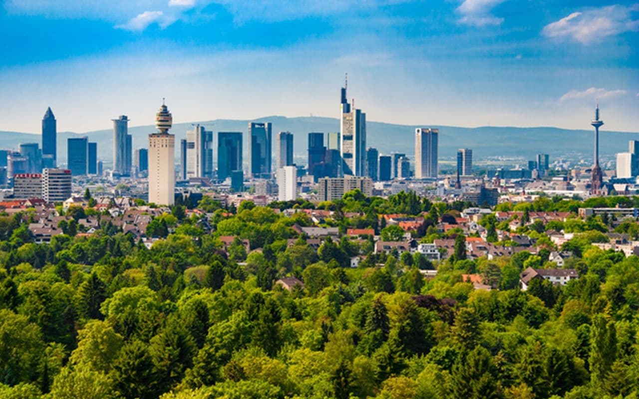Urbaner Baumbestand: Innovative Konzepte für einen klimafreundlichen Stadtwald