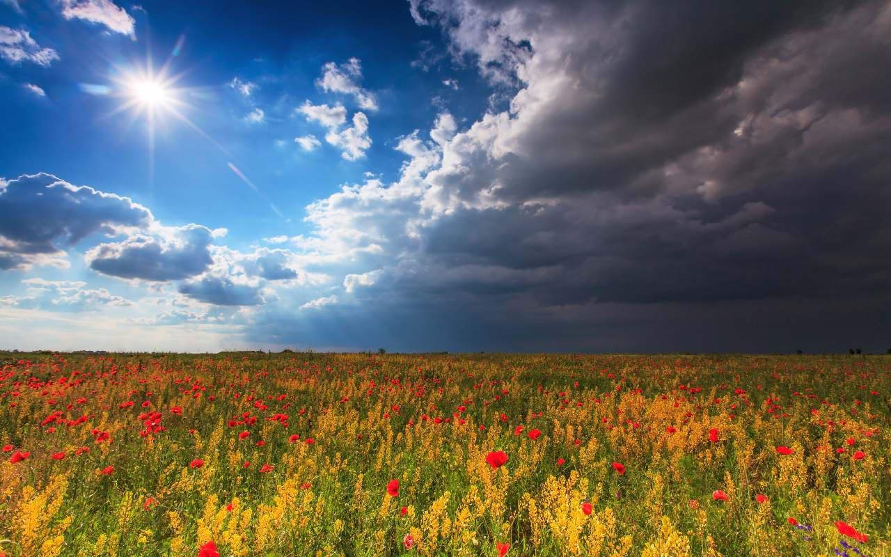 Im Nordwesten kühler mit örtlichem Regen