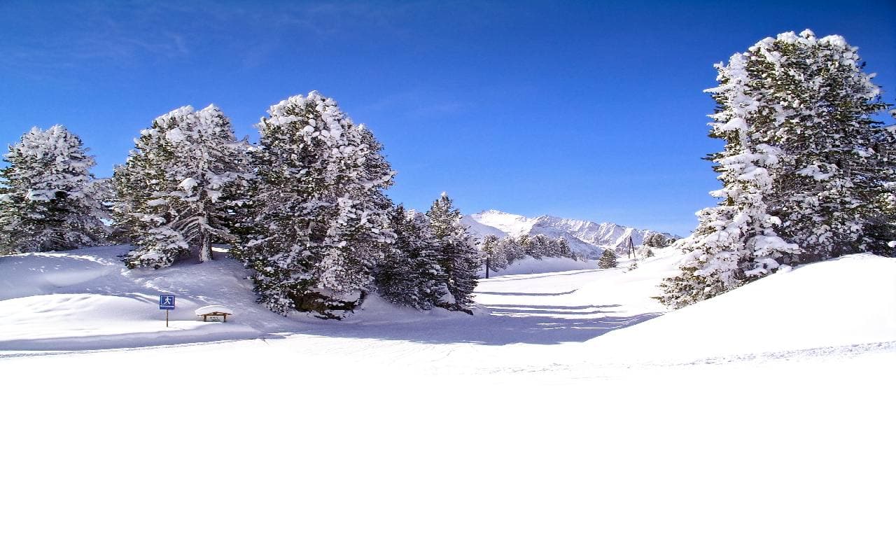 Wenn der "Snow Bowl" abgesagt ist ? Historische Schneemengen im 
Bundesstaat New York