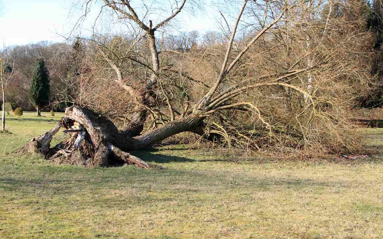  Unwettergefahr: Sturm- und Orkanböen drohen 