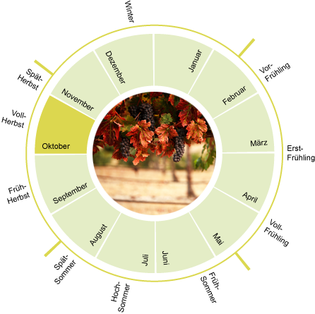 Phänologischer Kalender September - Gartenwetter Deutschland