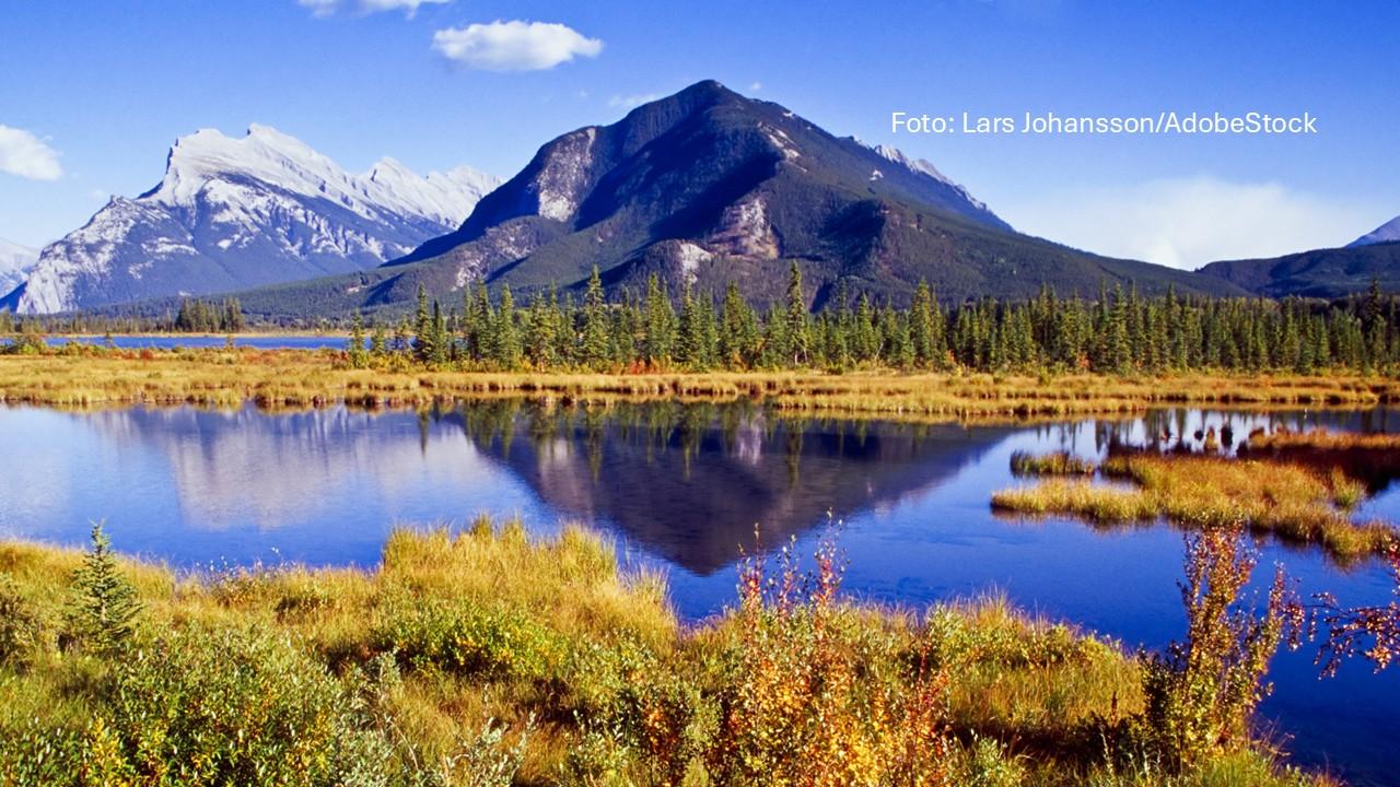 Wieder mehr Sonne in Sicht: Bestes Herbstwetter im November! Wetter News Bild: Wieder mehr Sonne in Sicht: Bestes Herbstwetter im November!
