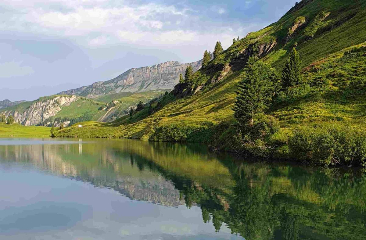 Angenehmes Sommerwetter Wetter News Bild: Angenehmes Sommerwetter